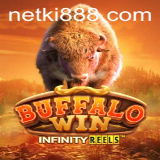 Exploring BuffaloWin: The Thrilling Adventure with Ki888